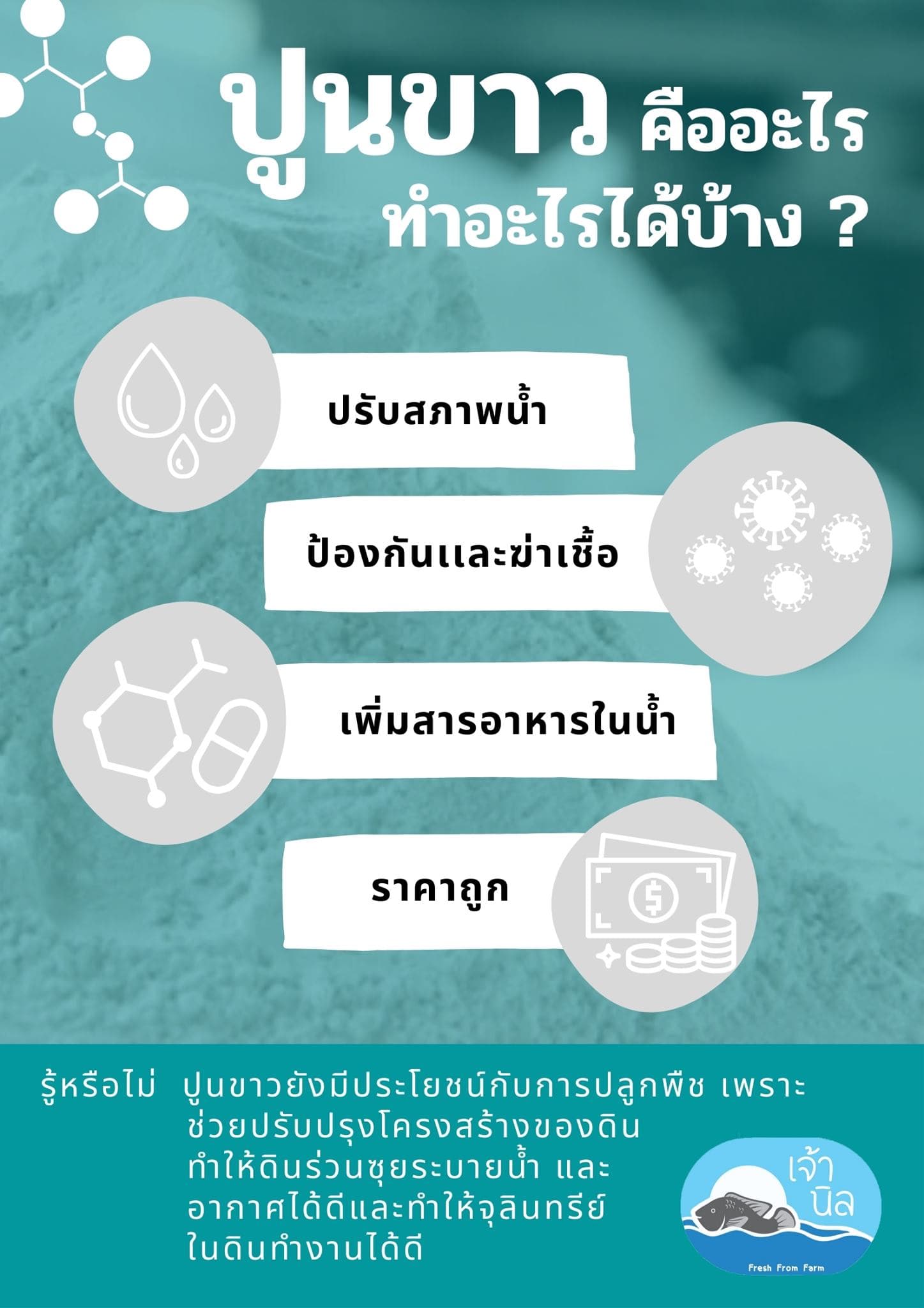 ปูนขาวปรับสภาพน้ำ