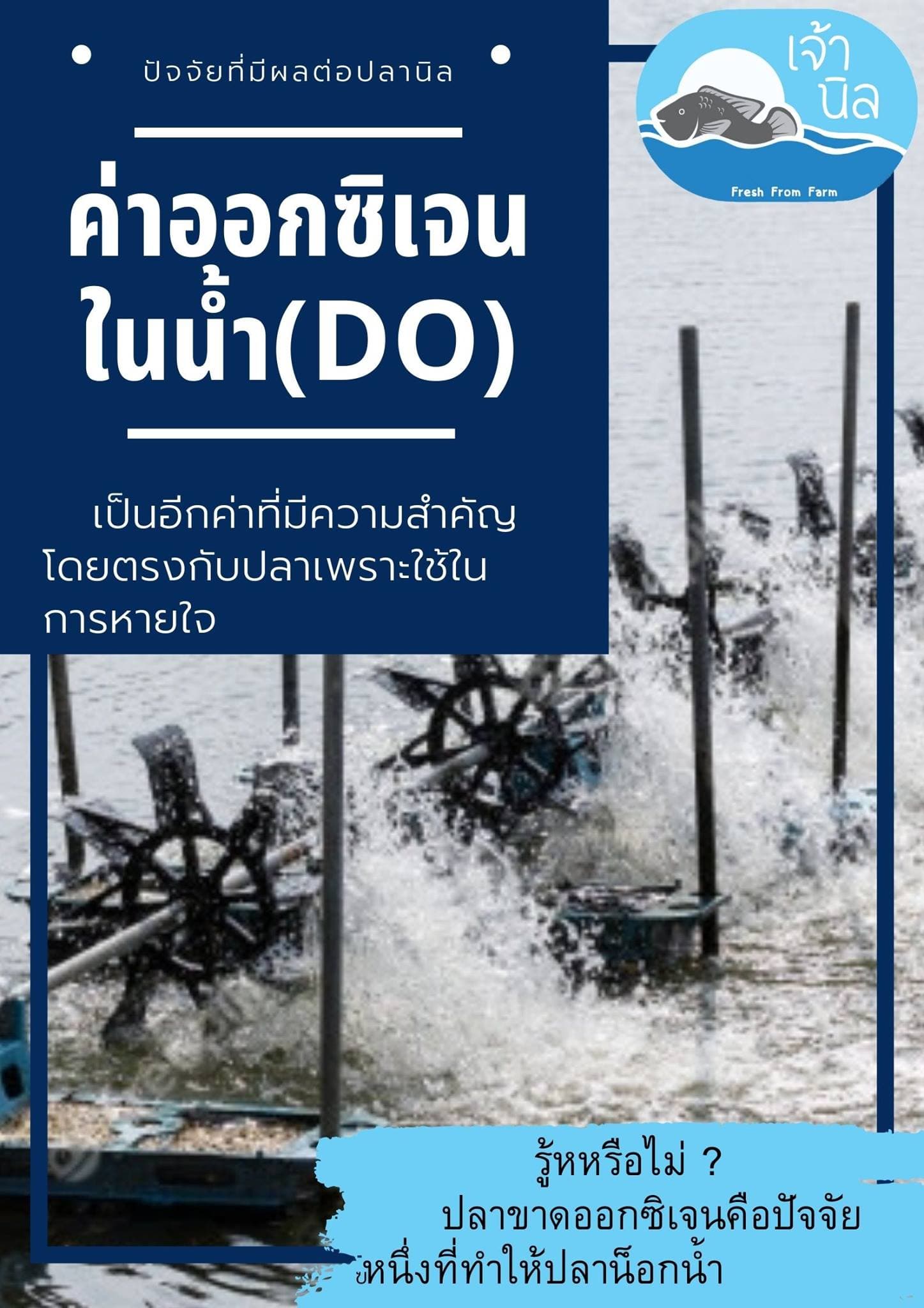 ปริมาณออกซิเจนในน้ำ