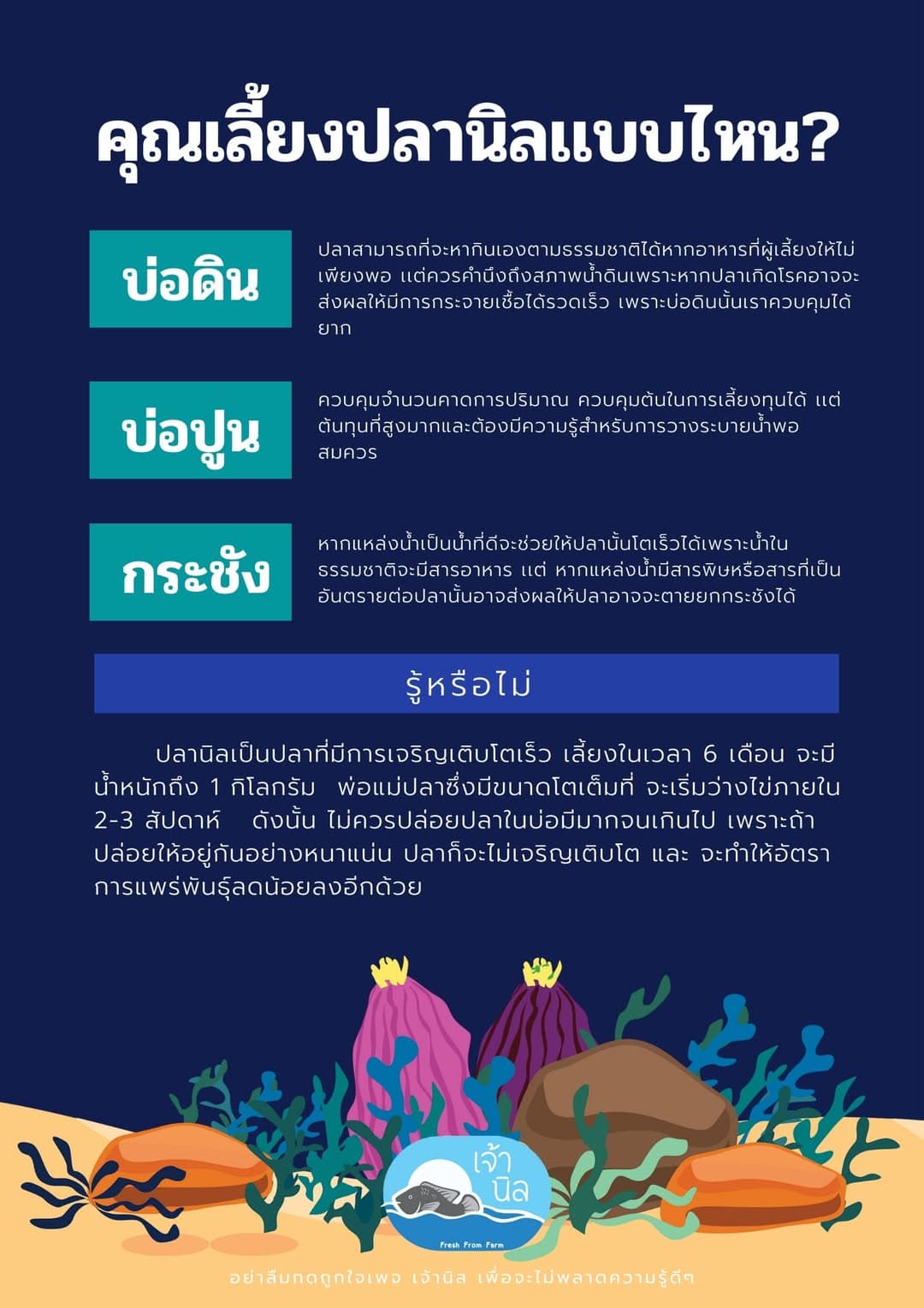 เลี้ยงปลานิล